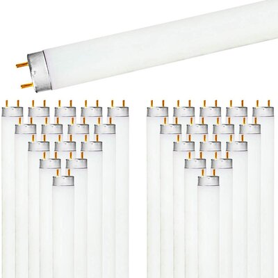 9 Amazing 15 Watt 18 Inch F8T5 Cw Fluorescent Tubes For 2024 Storables