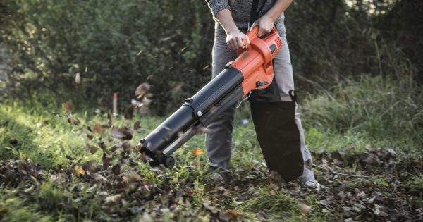 Top 15 Best Cordless Leaf Blowers For 2022 | Storables