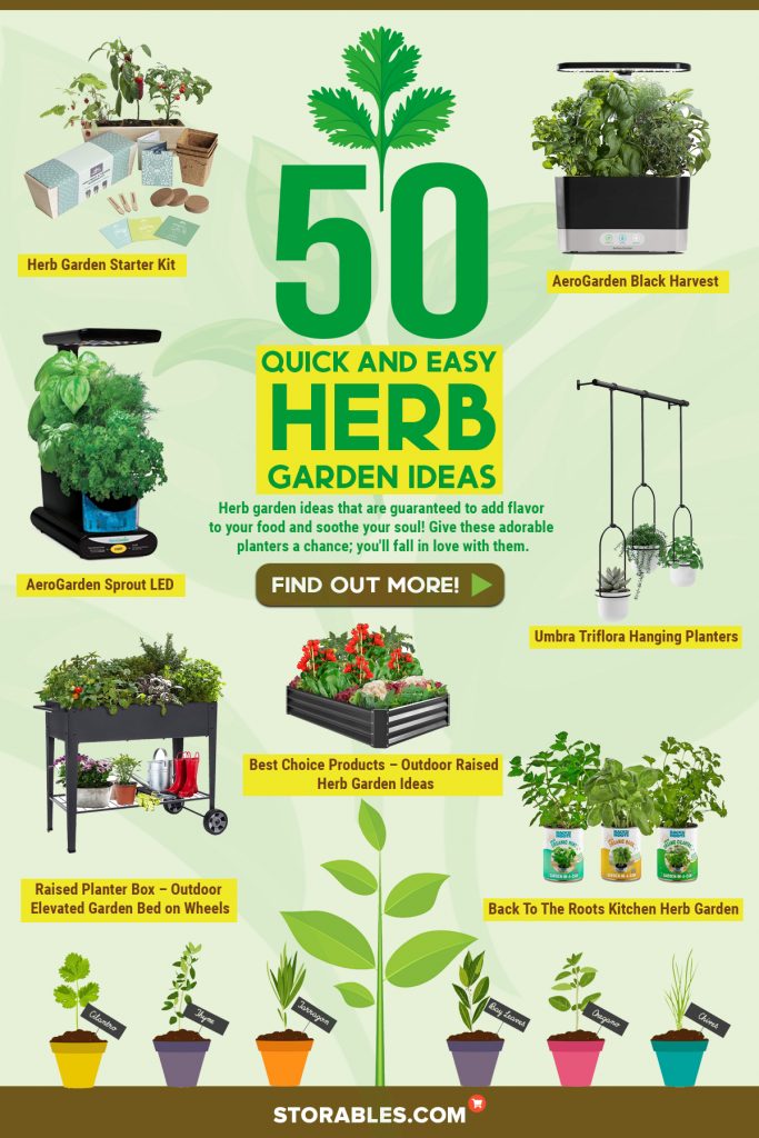 50 Quick And Easy Herb Garden Ideas - Infographics