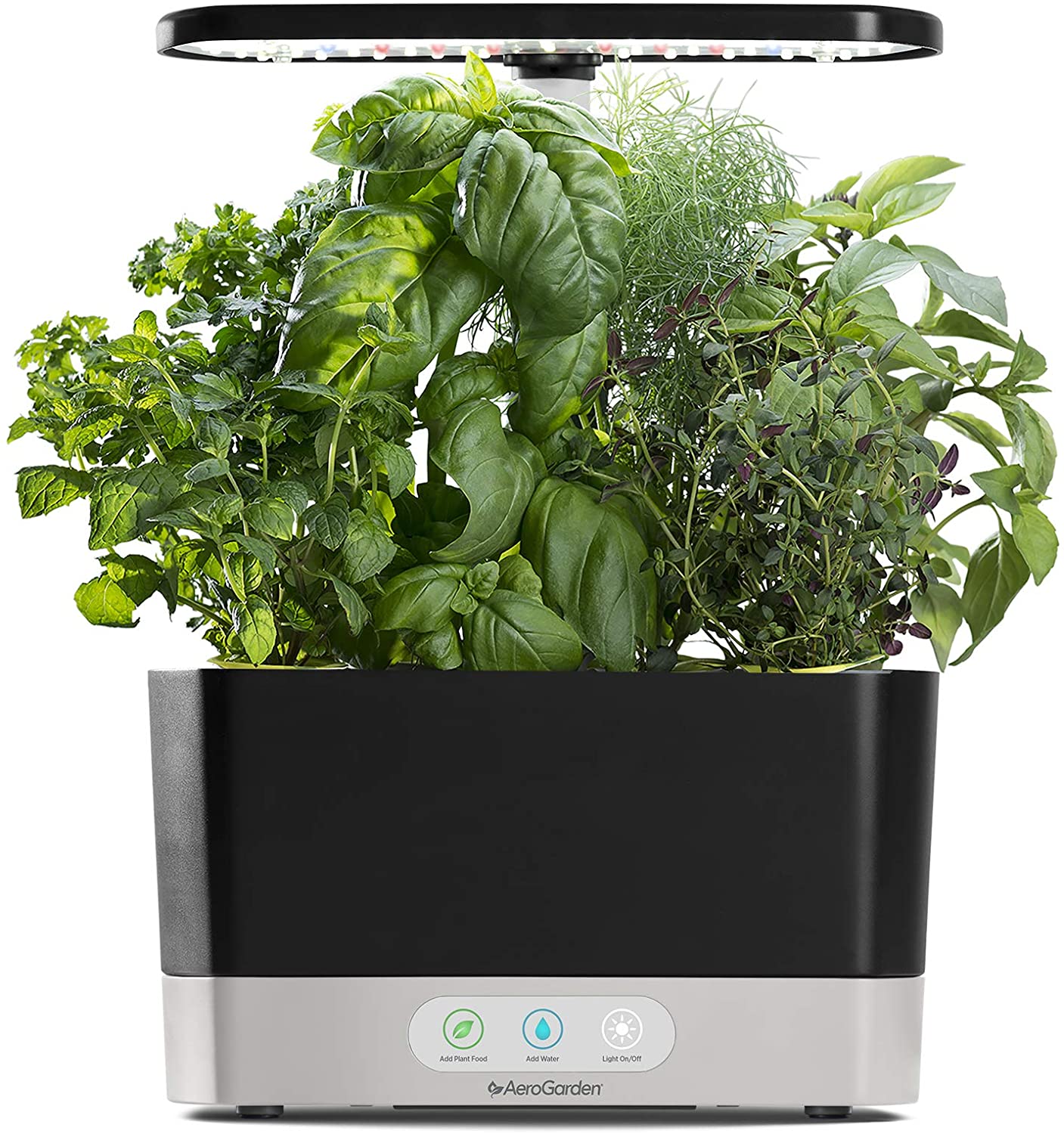 50 Quick And Easy Herb Garden Ideas | Storables