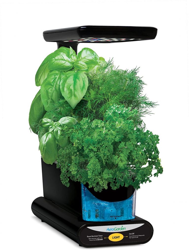 50 Quick And Easy Herb Garden Ideas | Storables