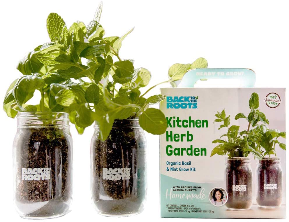 https://storables.com/wp-content/uploads/2020/04/Back-to-the-Roots-Indoor-Herb-Garden-Starter-Kit.jpg