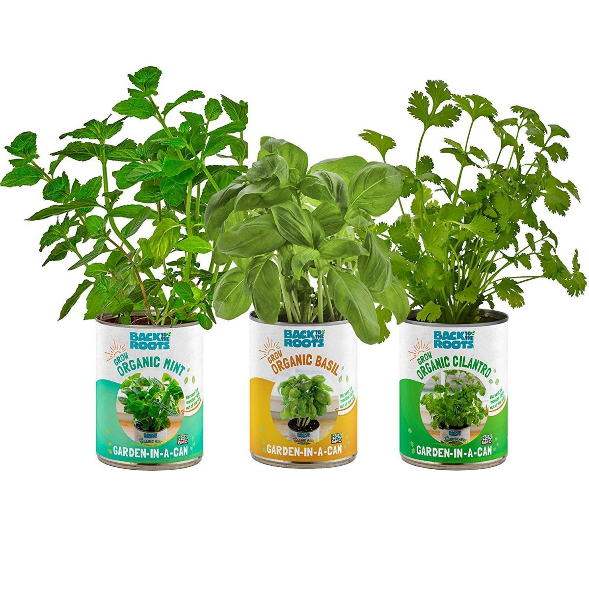 50 Quick And Easy Herb Garden Ideas | Storables