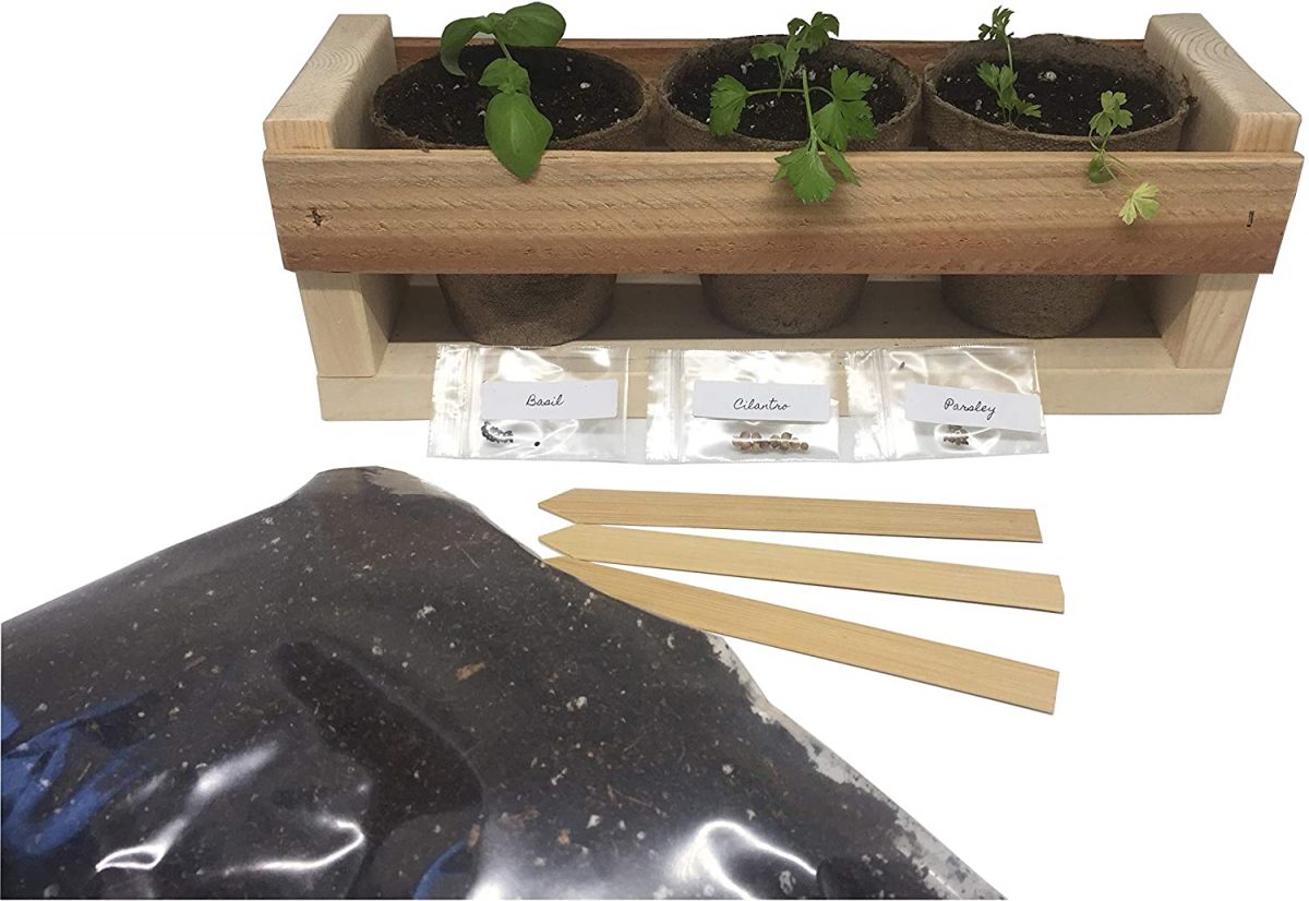 50 Quick And Easy Herb Garden Ideas Storables