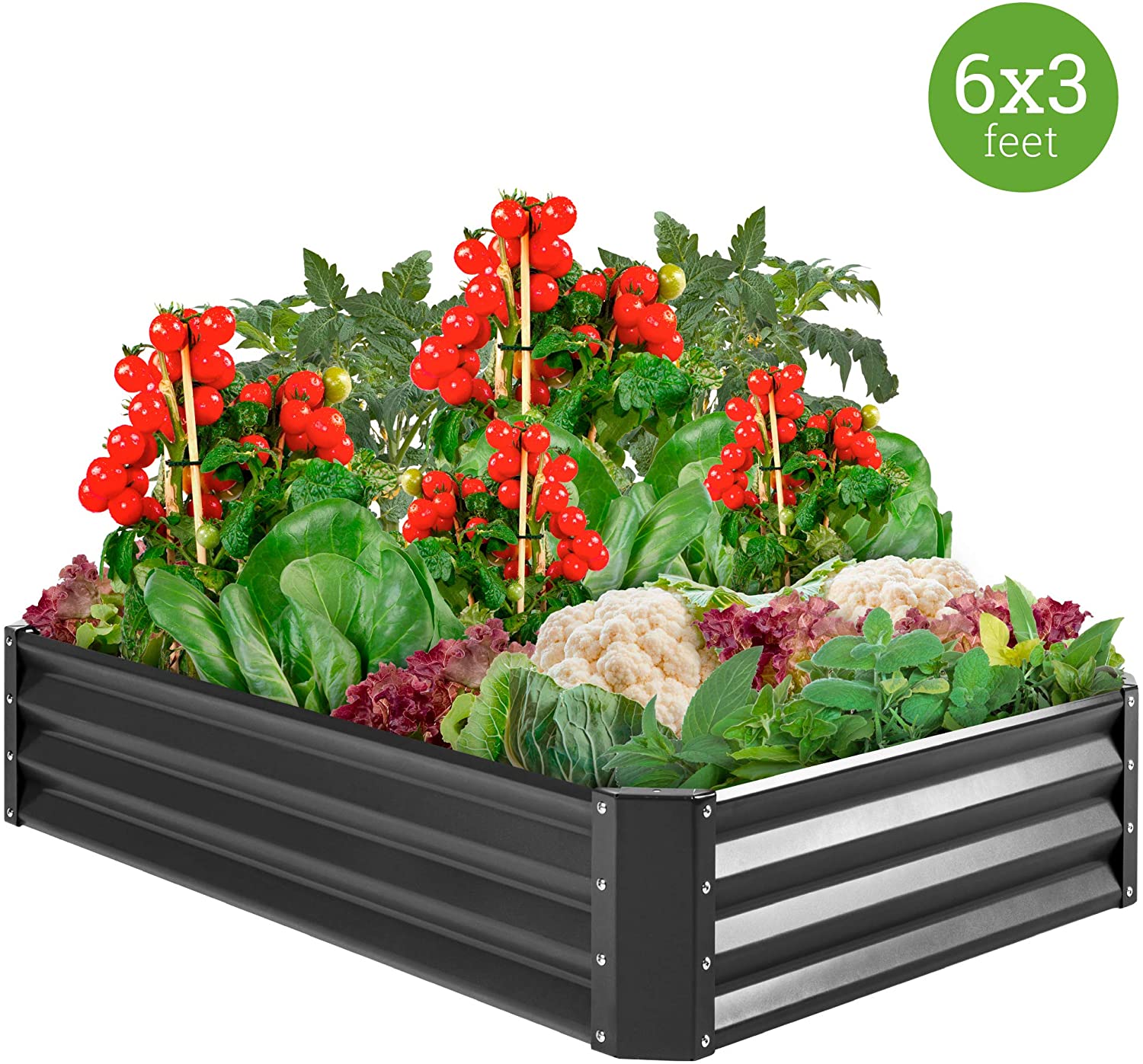 50 Quick And Easy Herb Garden Ideas | Storables