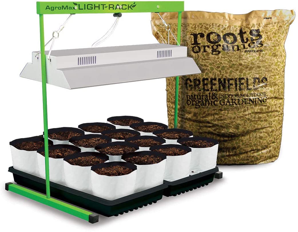 50 Quick And Easy Herb Garden Ideas | Storables