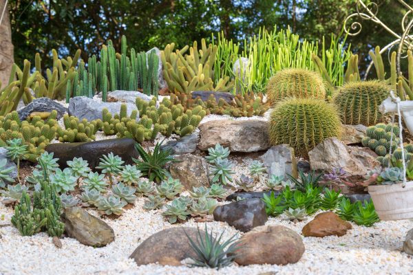 40 Beautiful Rock Garden Ideas In 2021 | Storables