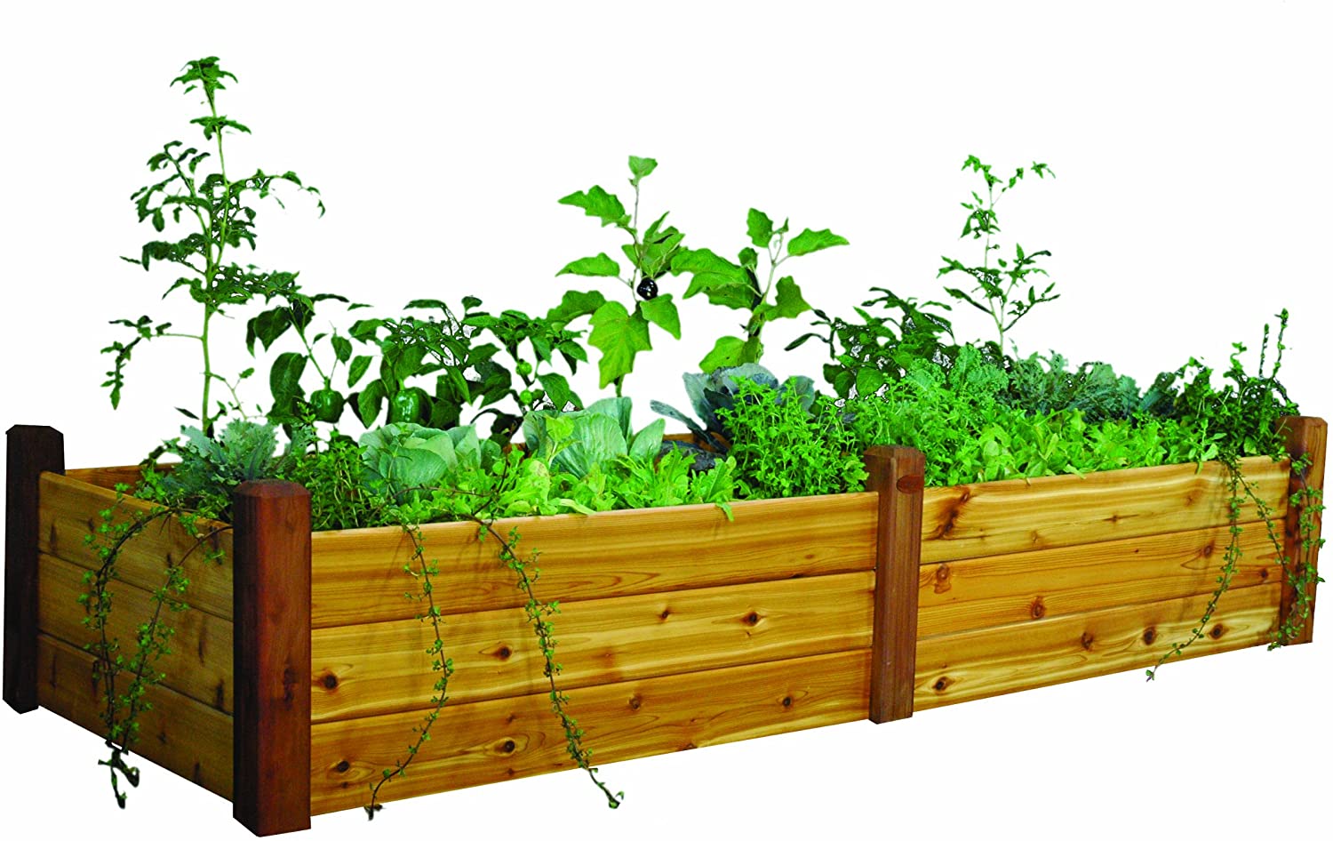 50 Quick And Easy Herb Garden Ideas | Storables