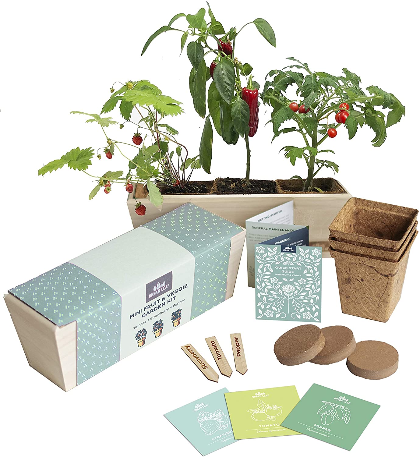 50 Quick And Easy Herb Garden Ideas | Storables