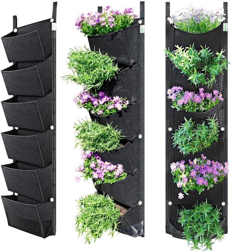 50 Quick And Easy Herb Garden Ideas | Storables