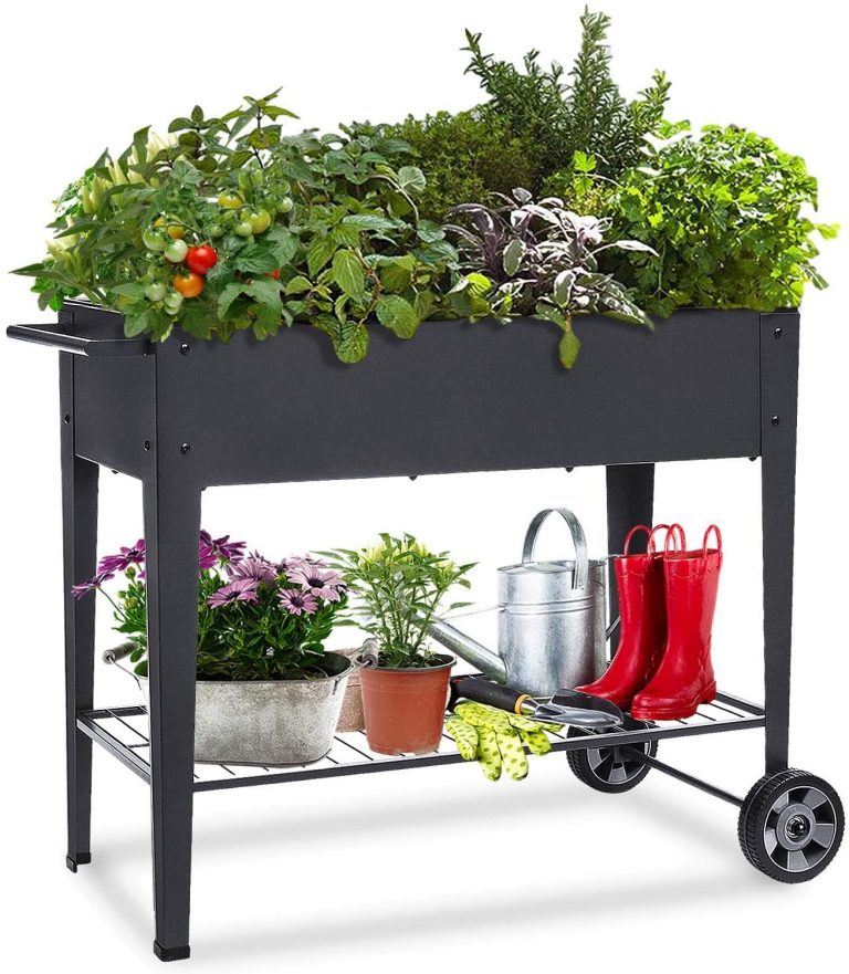 50 Quick And Easy Herb Garden Ideas | Storables