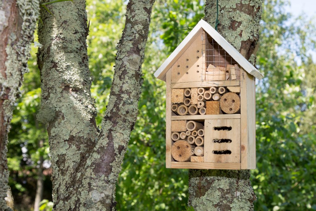 Insect house in a summer garden Hotel for insects