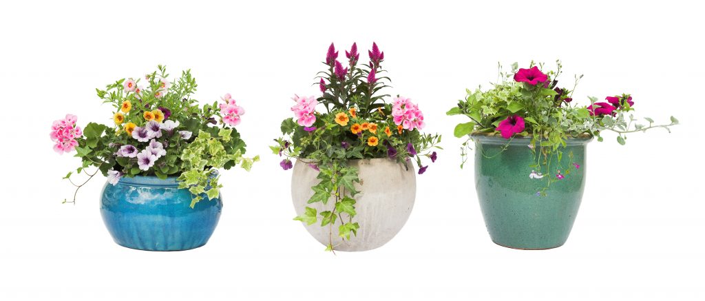 Spring Summer flower pots isolated on white