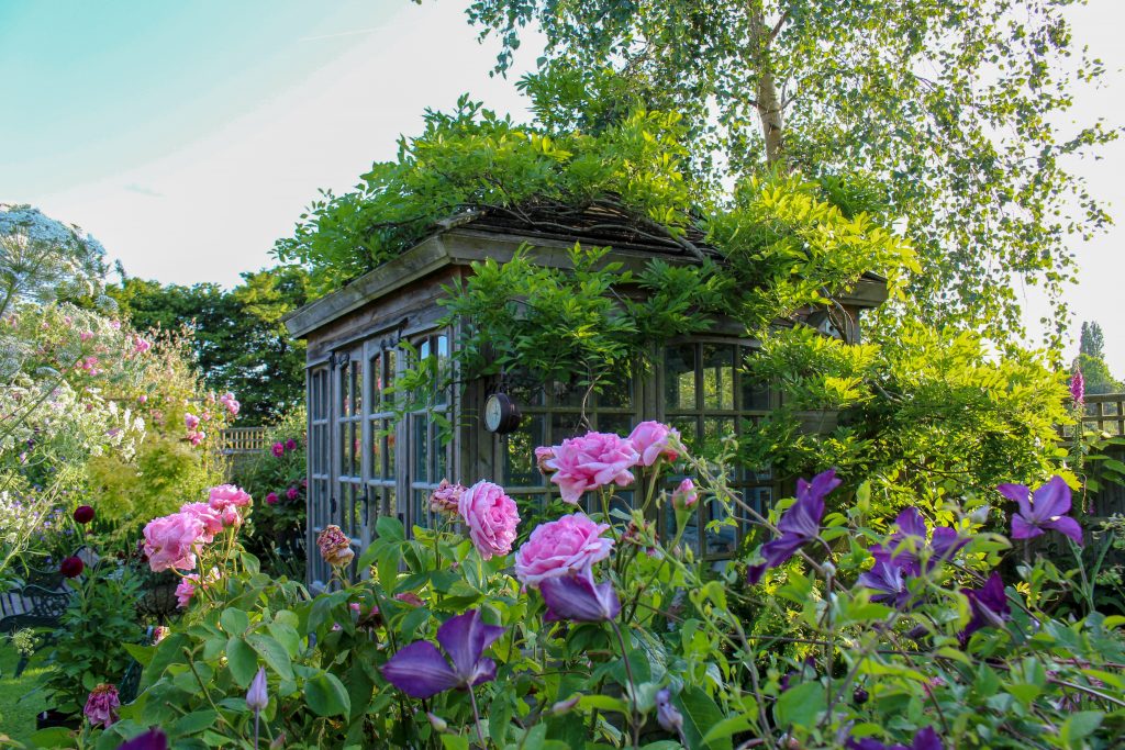 Summer house. in an English cottage garden, with rambling roses and clematis