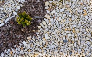 40 Beautiful Rock Garden Ideas In 2021 | Storables