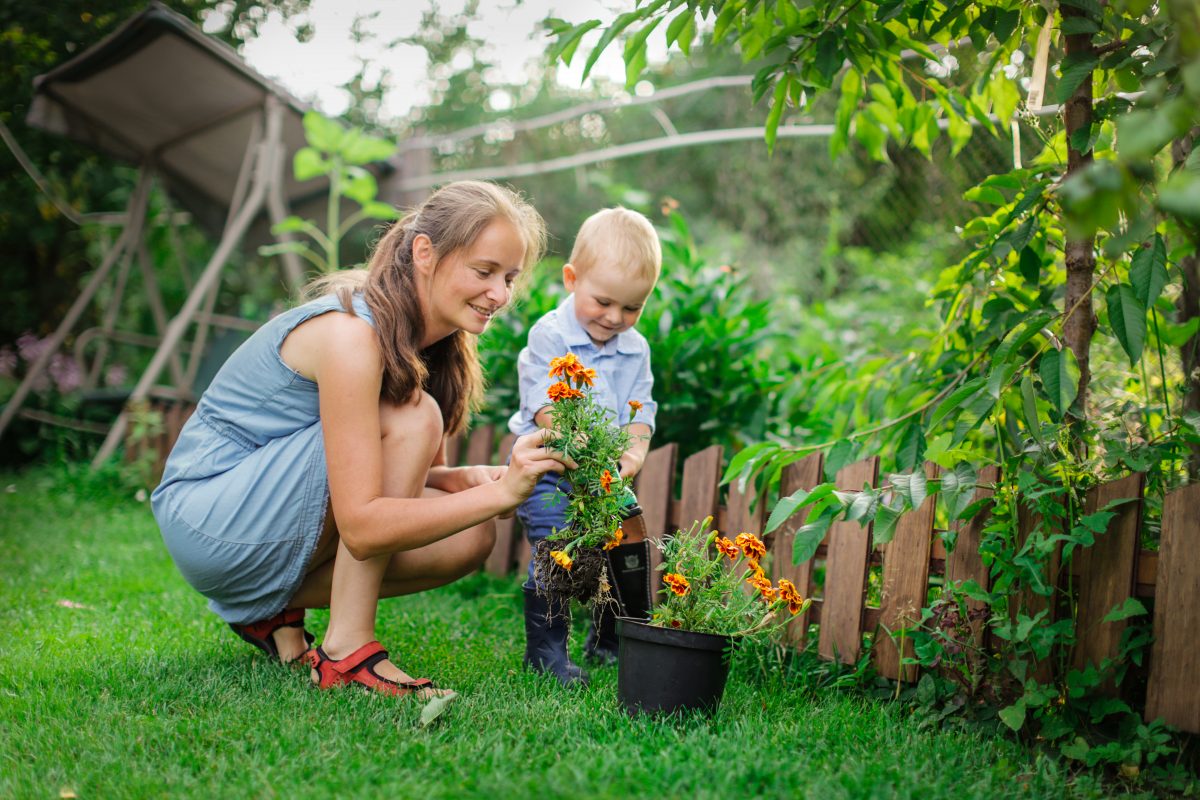 My grandmother gardening