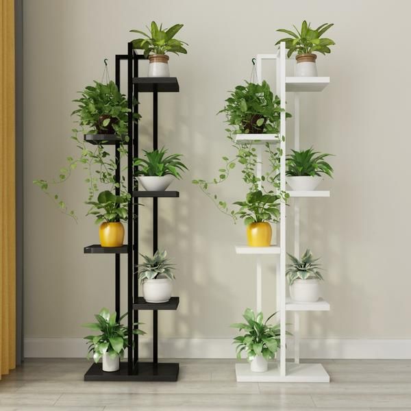 stacked plants