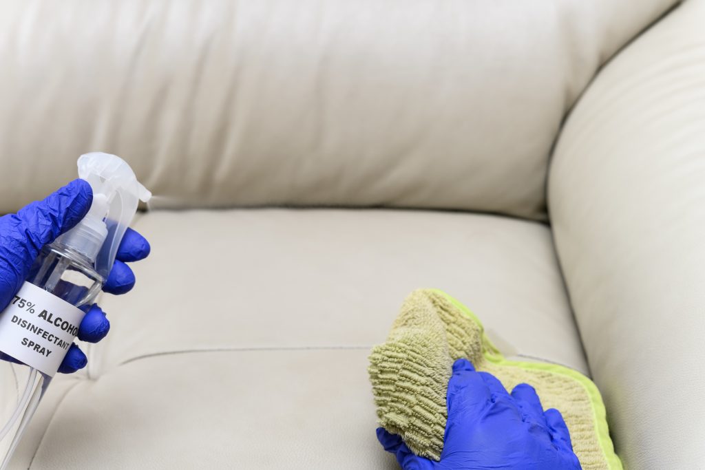 disinfect your sofa