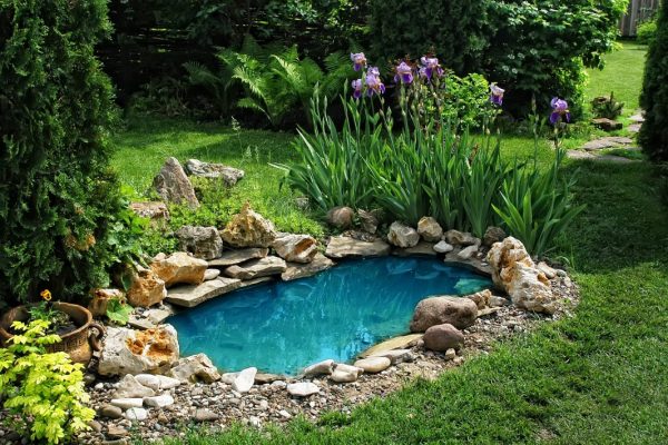 Great Backyard Pond Ideas For Your Garden