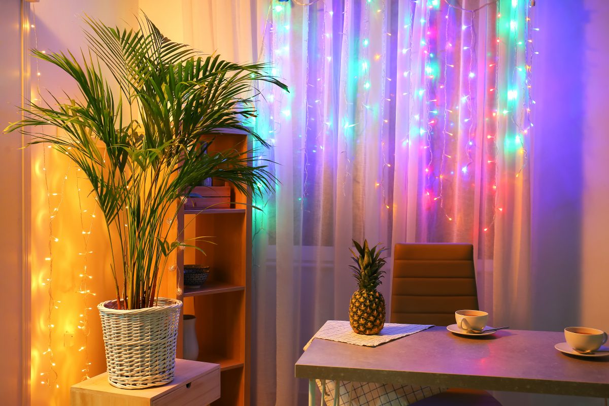 10 Best Fairy Lights To Create A Dreamy Ambiance Storables