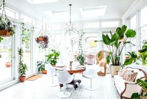 how-to-hang-plants-from-ceiling-full-size-of-home-add-indoor-your-without-holes-install-hooks-for-han