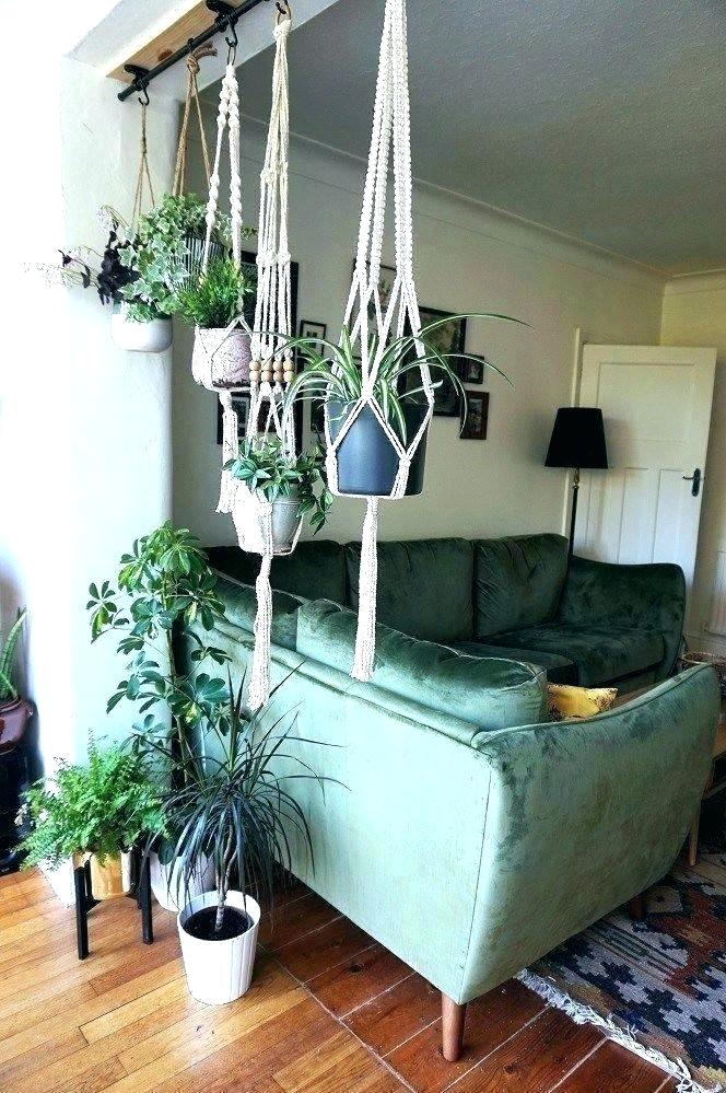  Cheap Easy Steps To Make A Hanging Flower Pot Storables - Indoor Plant Hanging Ideas