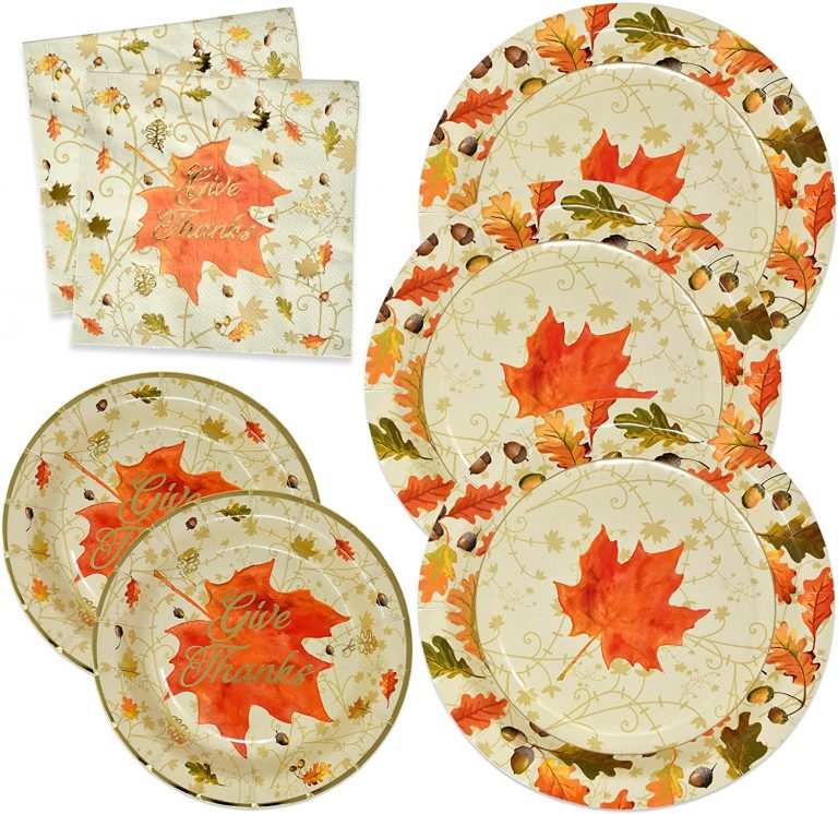 6 Cute Thanksgiving Plates To Add On To Your Festive Table Storables