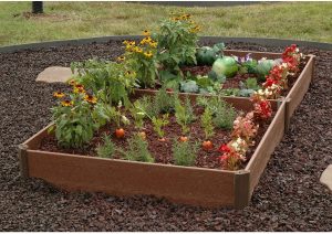 Pavlysh’s Greenland Gardener Raised Bed Garden Kit