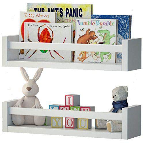Book & Toy Shelf