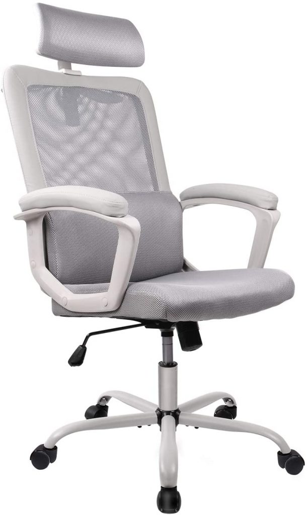 Smugdesk Ergonomic Office Chair