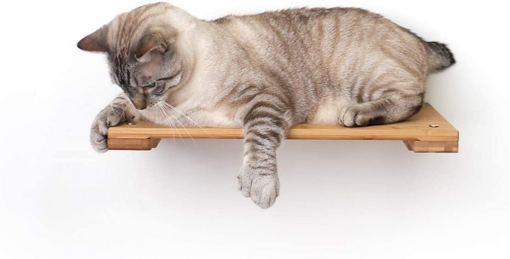 18-inch Cat Shelf
