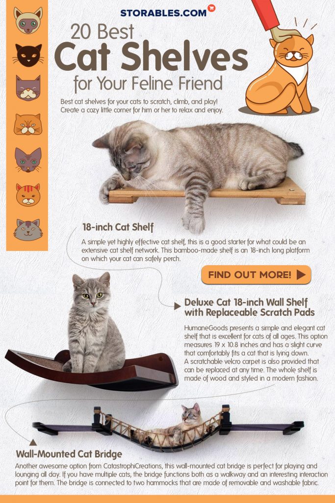 20 Best Cat Shelves for Your Feline Friend - Infographics