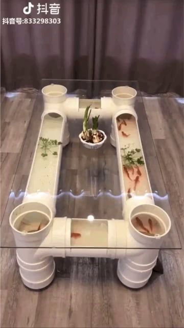 Coffee table fish tank