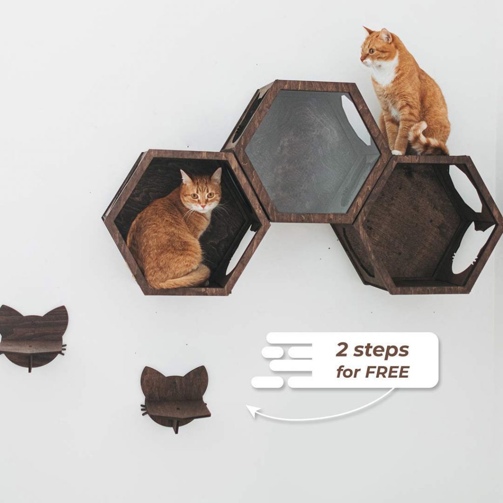 Hexagon Wooden Cat Shelves
