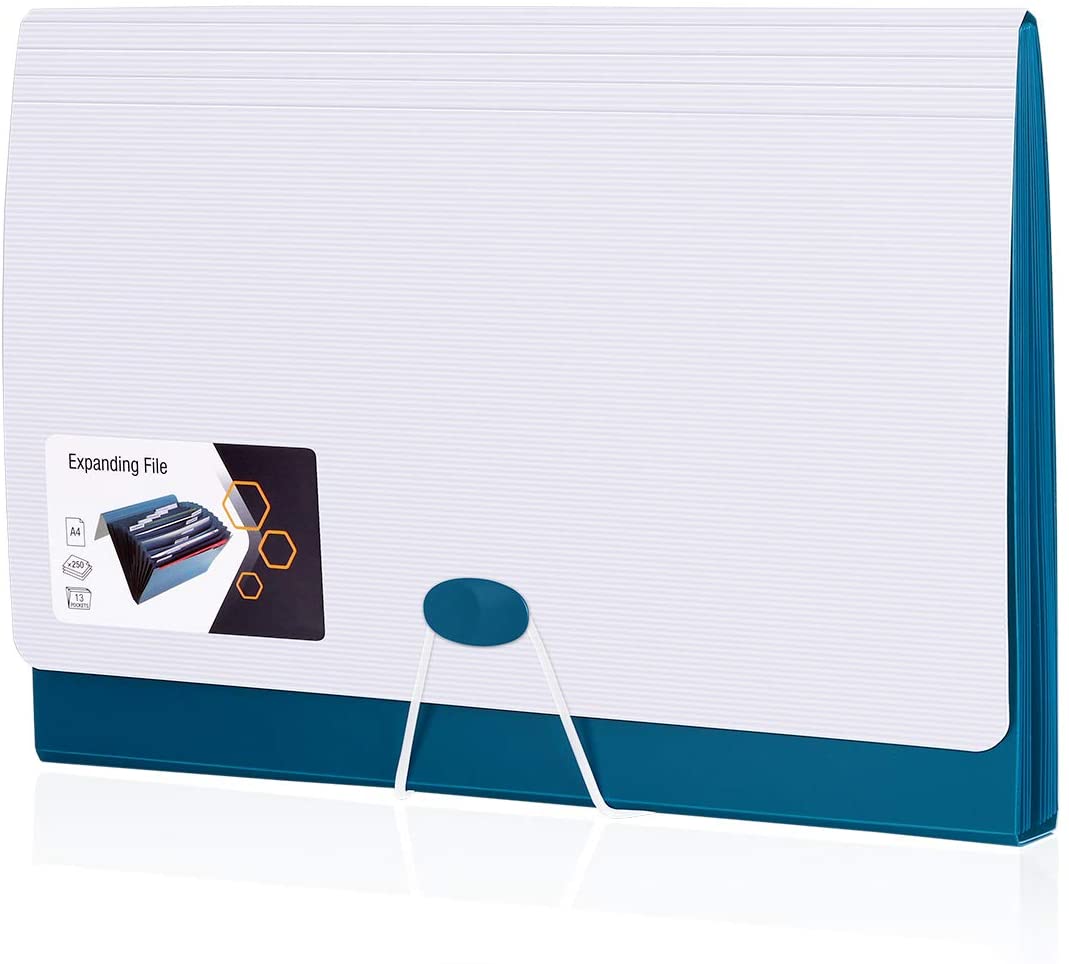 20 Best Expanding File Folder That Are A Steal Storables