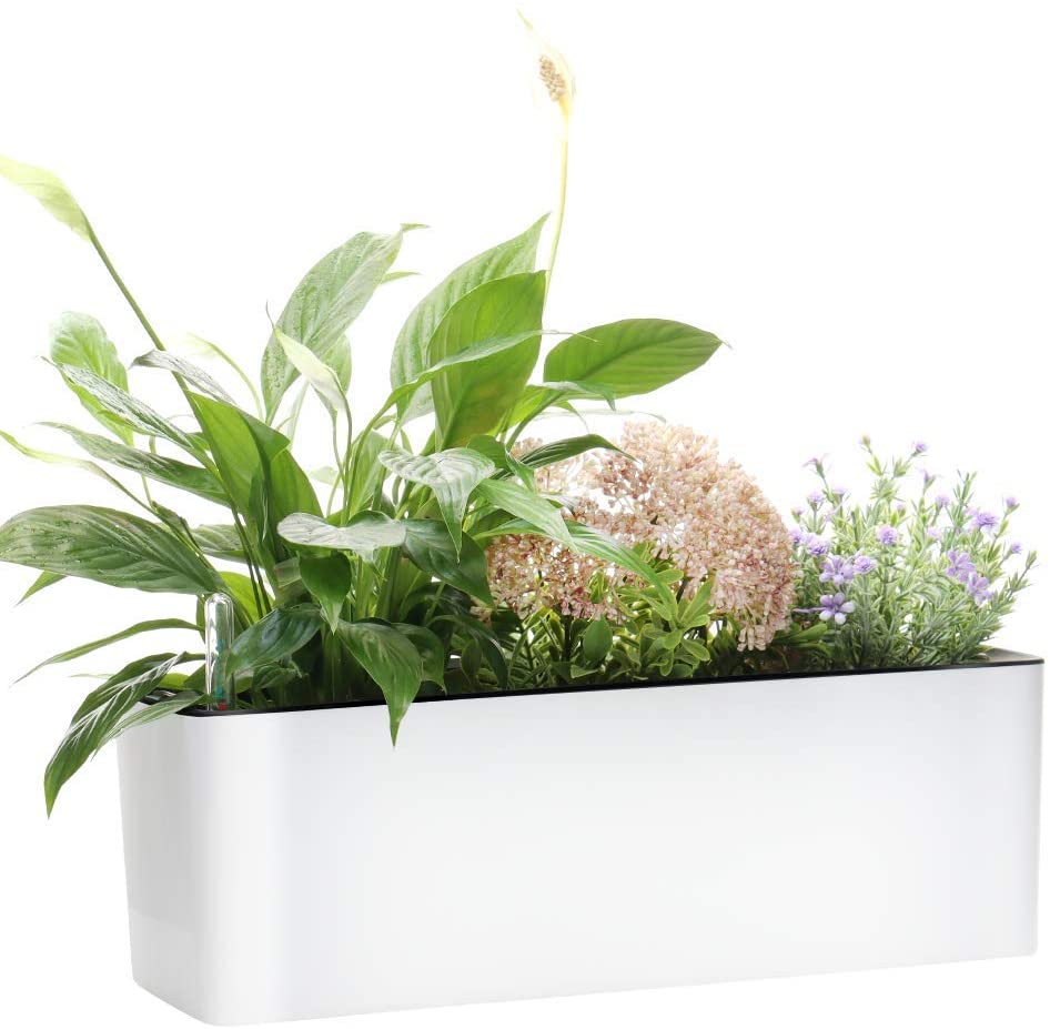 Elongated Self Watering Planter Pots Window Box with Coconut Coir Soil