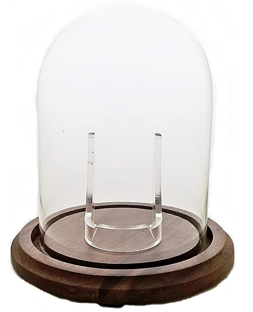 Hand Blown Pocket Watch Glass Cloche Display Dome with Real Walnut Wood Base