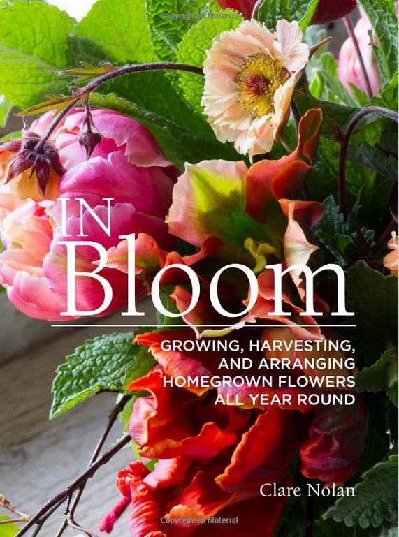 Bloom by Claire Nolan