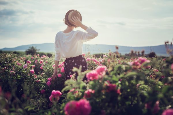 20 Fragrant Roses To Create A Natural Perfume Garden