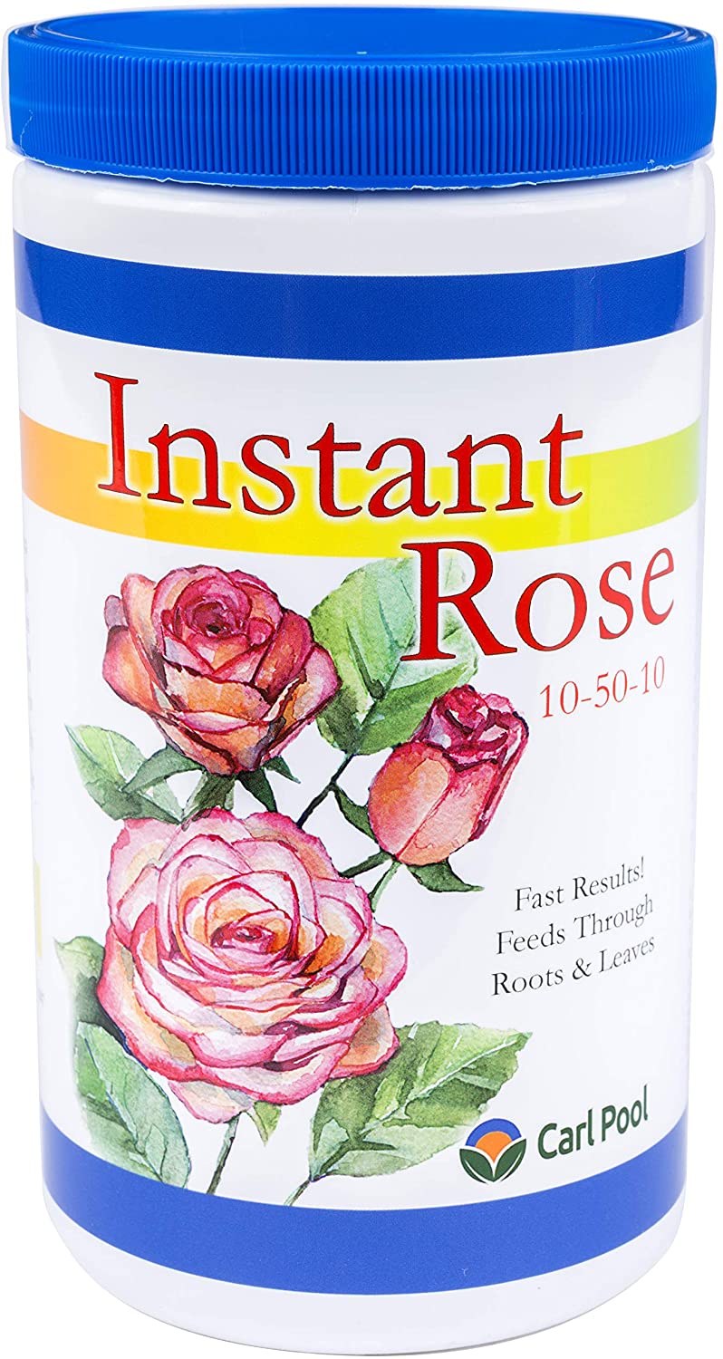 25 Best Rose Fertilizer For Healthy Blooms Storables