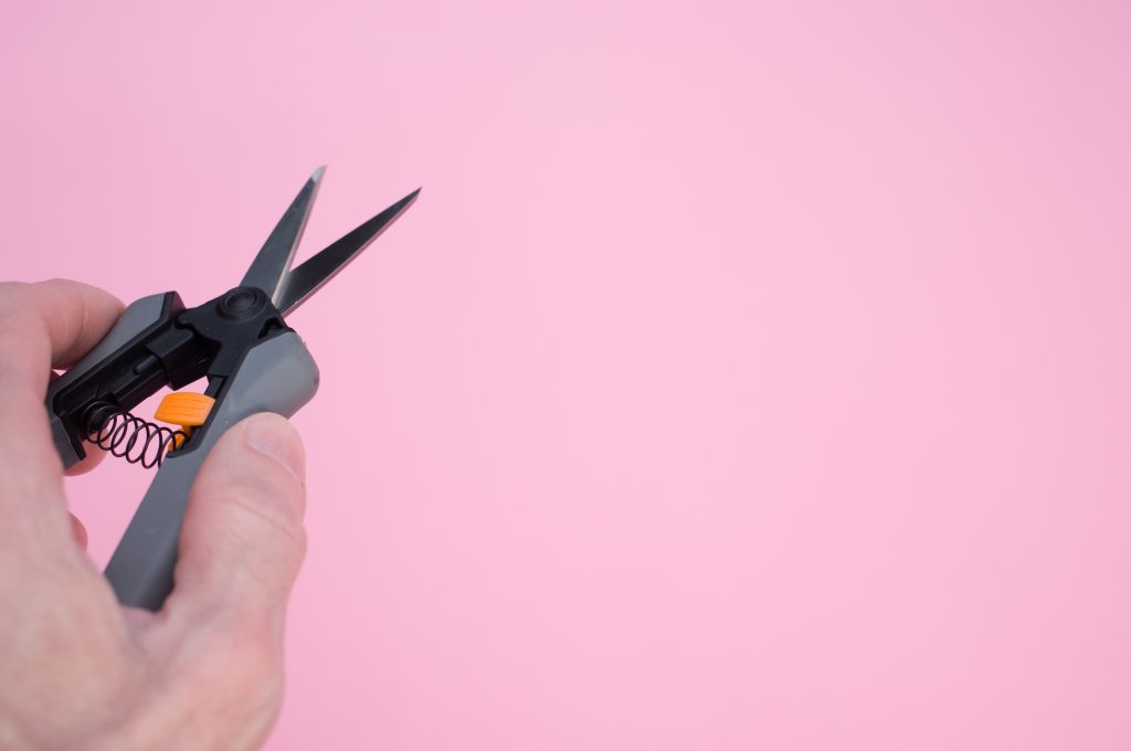 Person holding gardening pruning shears against a pink background