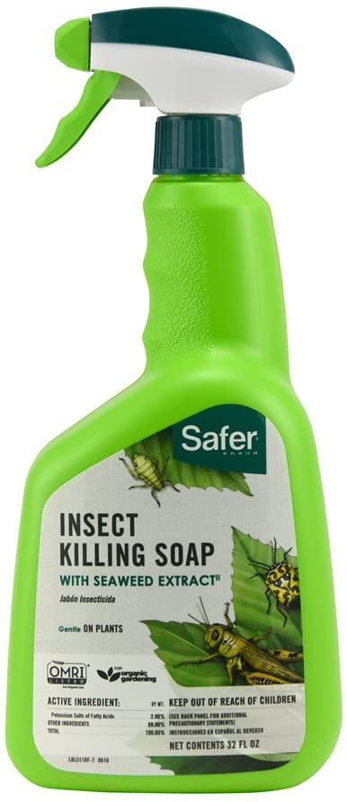 insect killing soap from safer brand