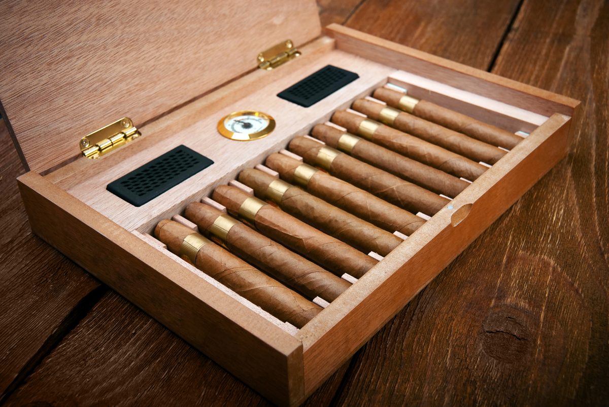 Regeneration periskop Gutter 25 Best Cigar Humidors to Keep Them Fresh | Storables.com