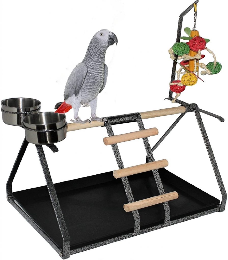 Bird Perch Table Top Stand