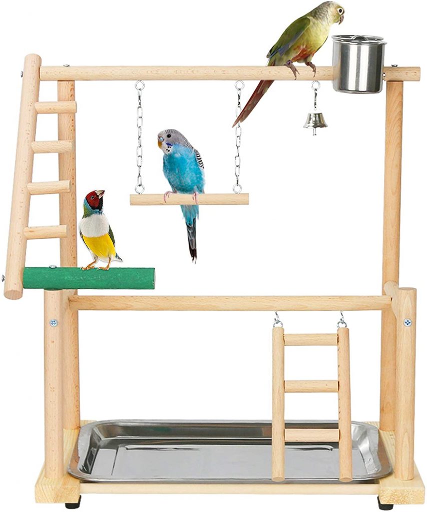 Bird Playground