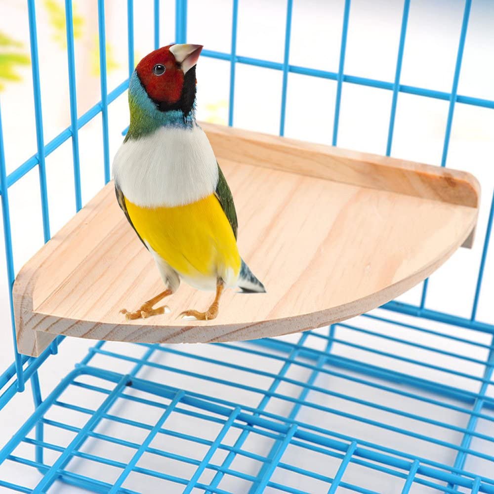 Platform Stand Bird Perch