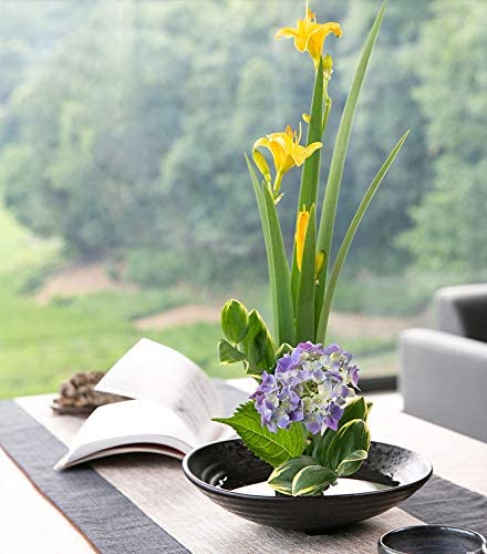 8 Exquisite Ikebana Options for | Storables.com
