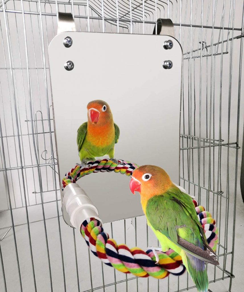 Bird Mirror with Rope