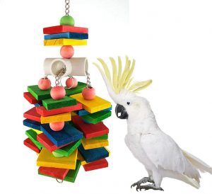 Alysontech Large Parrot Toys