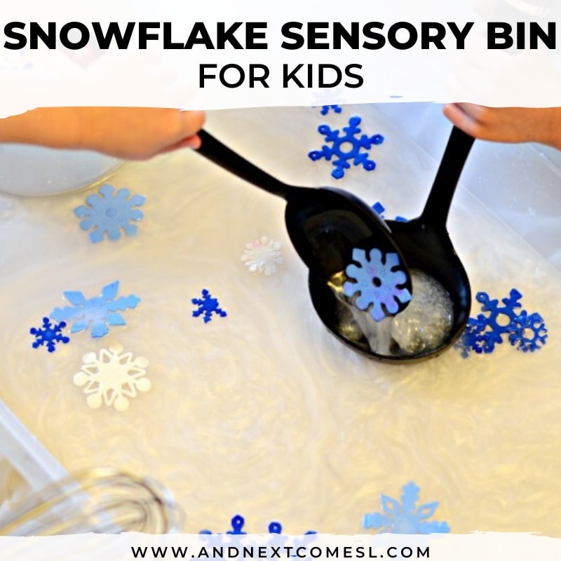 Snowflake Sensory Bin